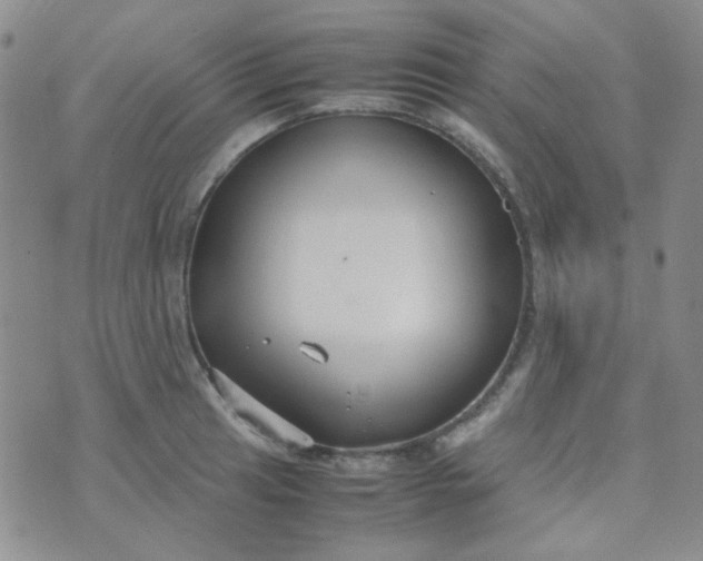 X0000070431041200606231913