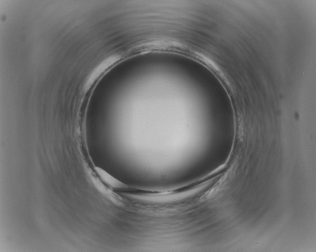 X0000070431042200606231913