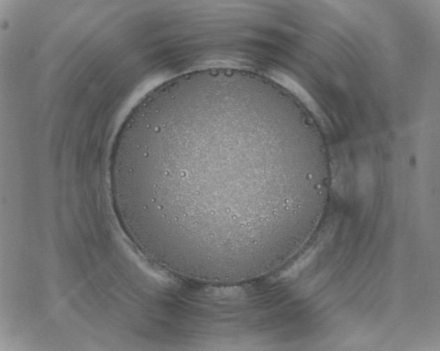 X0000070431043200606231913