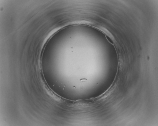 X0000070431044200606231913