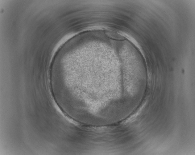 X0000070431045200606231913