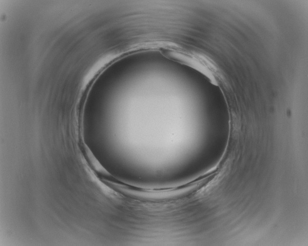 X0000070431046200606231913