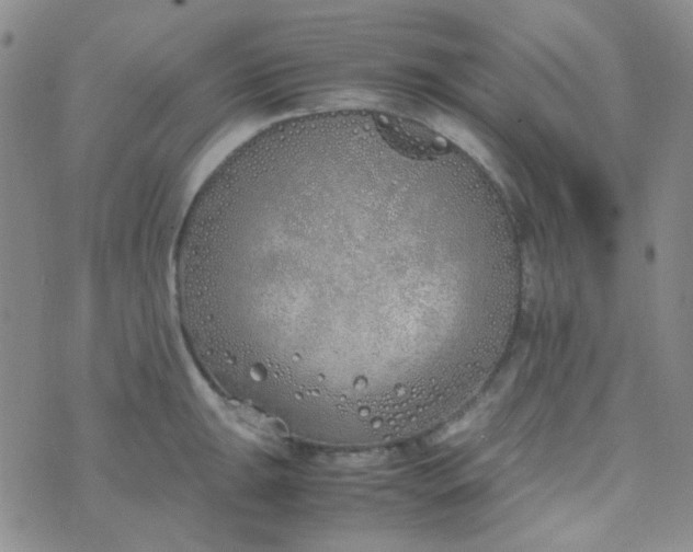 X0000070431047200606231913