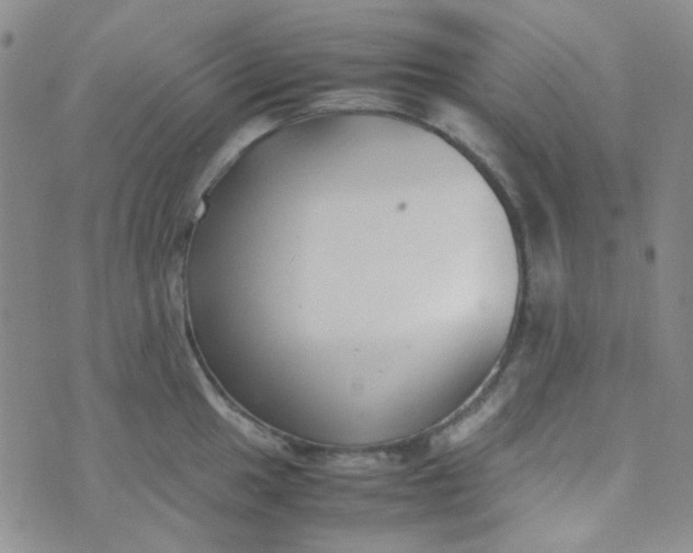 X0000070431049200606231913