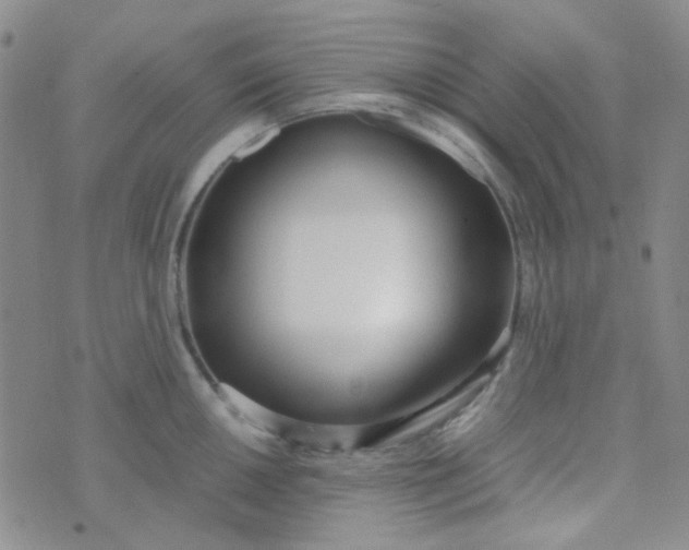 X0000070431050200606231913