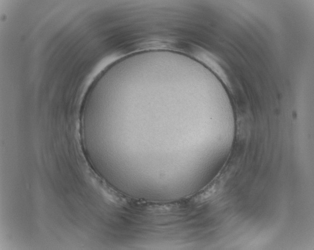 X0000070431051200606231913