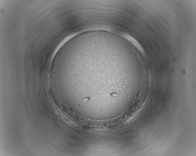 X0000070431052200606231913