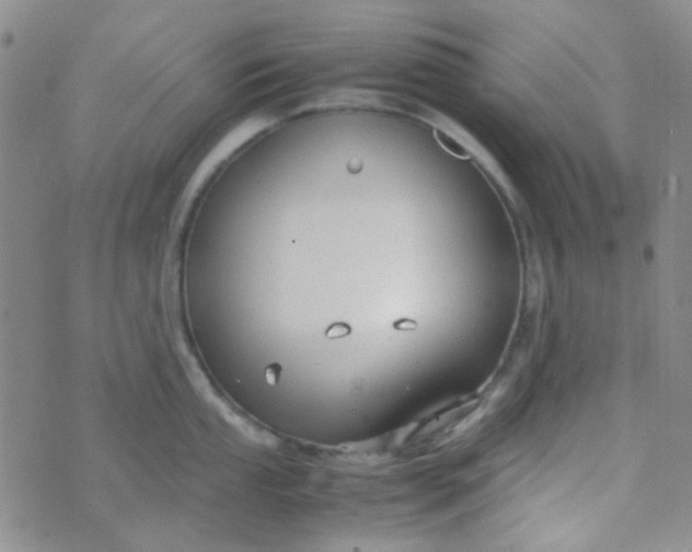 X0000070431053200606231913