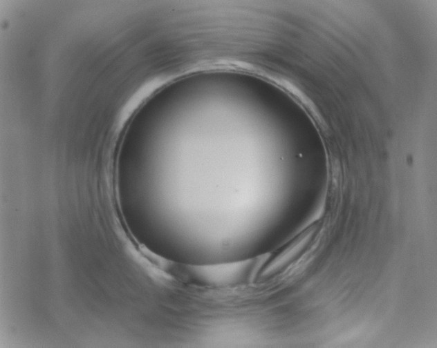 X0000070431054200606231913