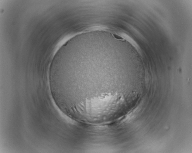 X0000070431055200606231913