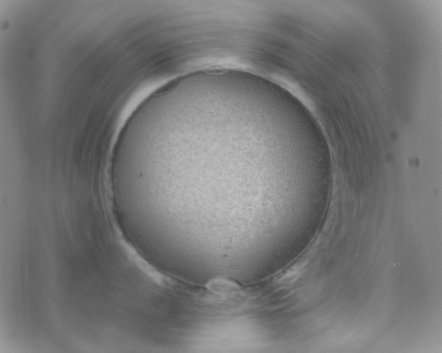 X0000070431056200606231913