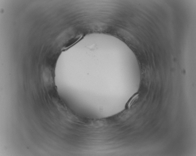 X0000070431058200606231912