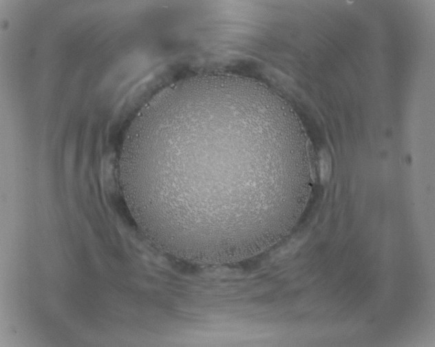 X0000070431059200606231912