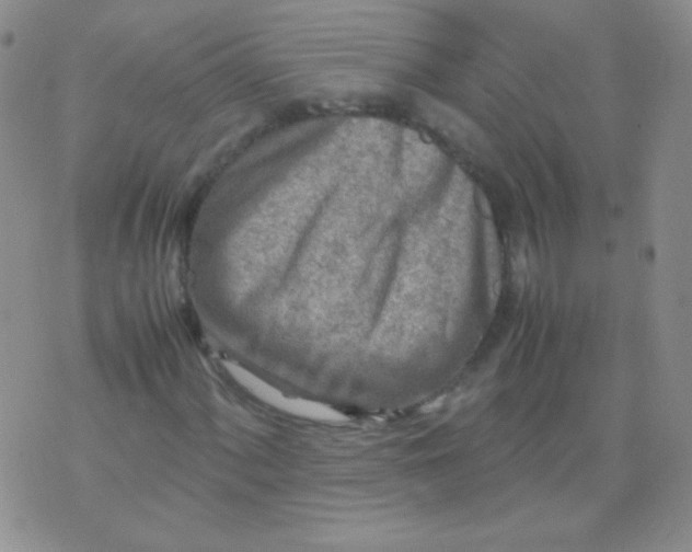 X0000070431060200606231912