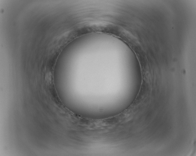 X0000070431061200606231912