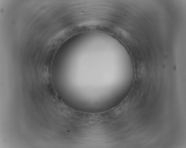 X0000070431062200606231912