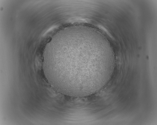 X0000070431063200606231912