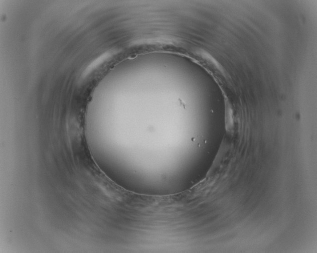 X0000070431064200606231912