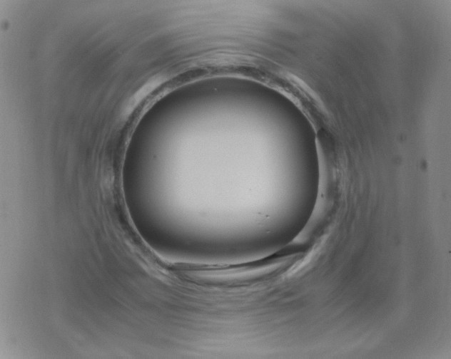 X0000070431065200606231912