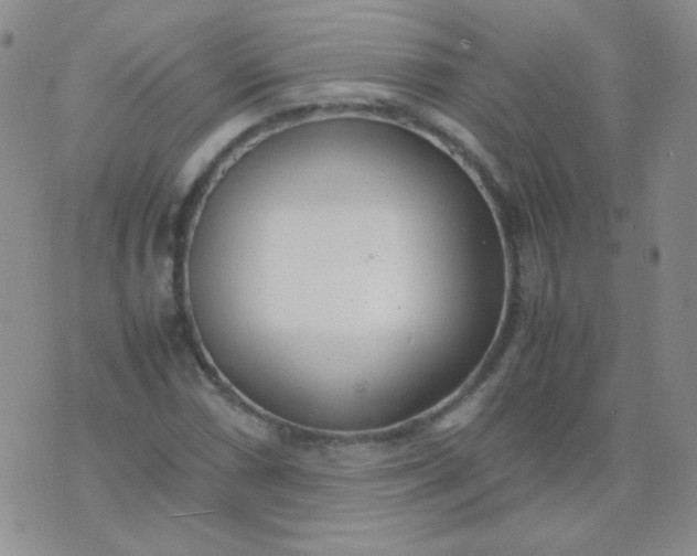 X0000070431066200606231912