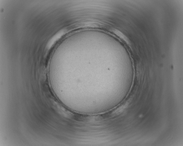 X0000070431067200606231912