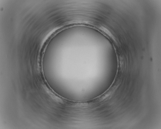 X0000070431068200606231912