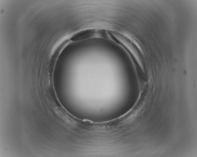 X0000070431069200606231912