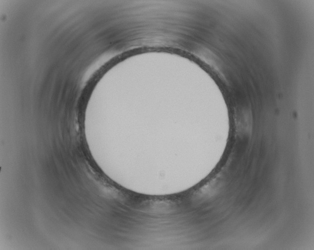 X0000070431070200606231912