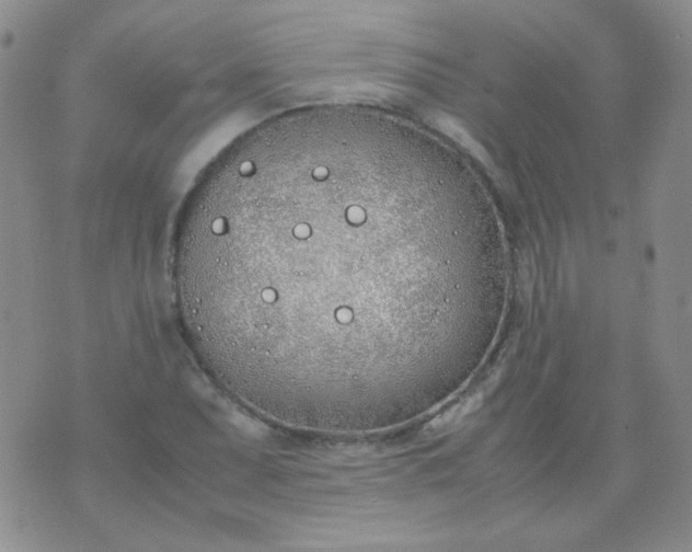 X0000070431071200606231912