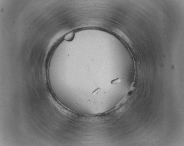 X0000070431072200606231912