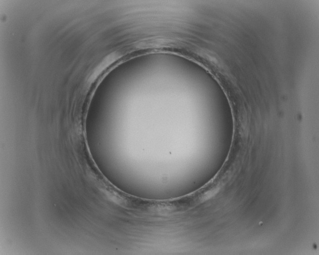 X0000070431073200606231912