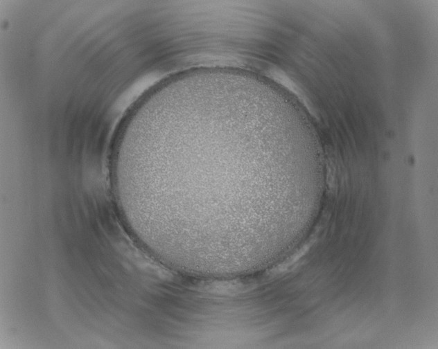 X0000070431074200606231912