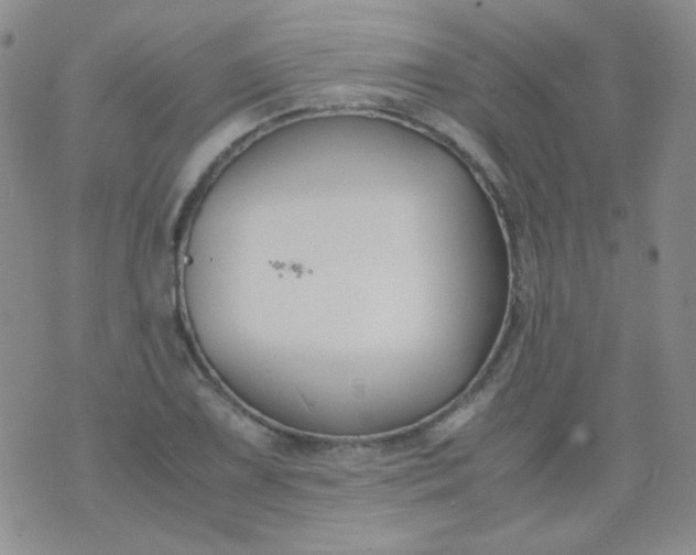 X0000070431075200606231912