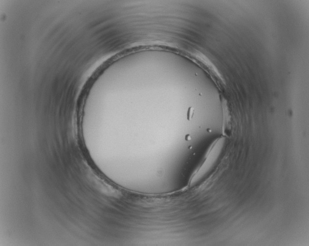 X0000070431076200606231912