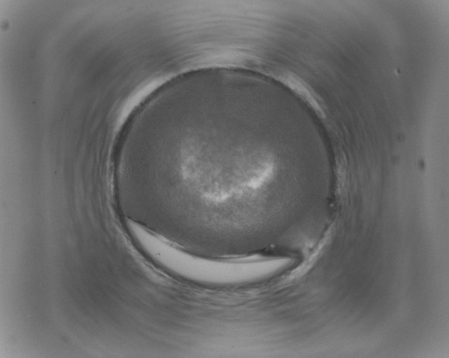 X0000070431077200606231912