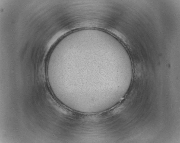 X0000070431078200606231912