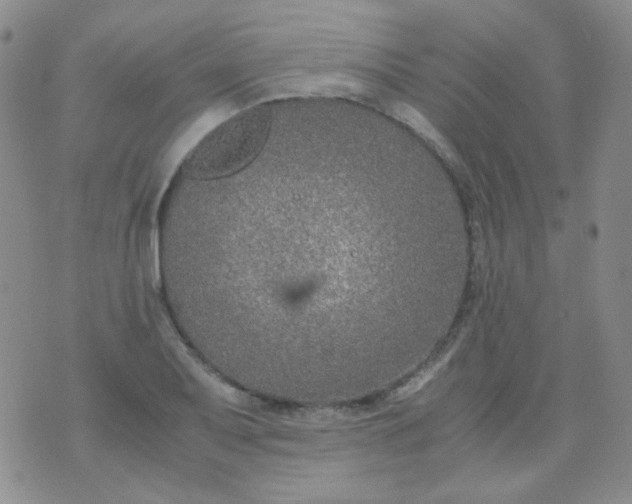 X0000070431079200606231912