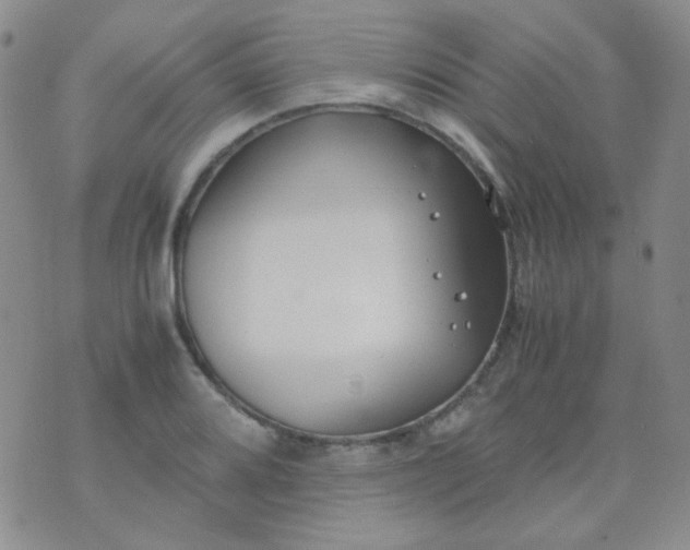 X0000070431080200606231912