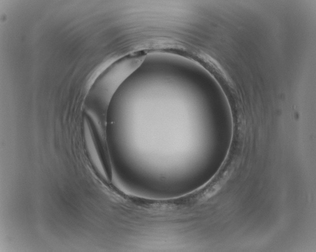 X0000070431081200606231912