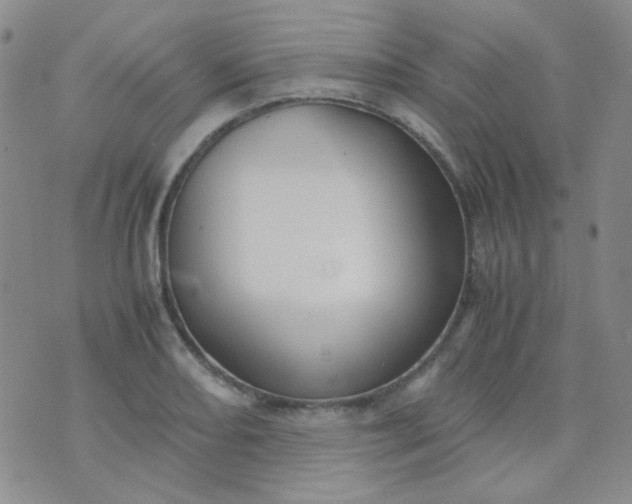 X0000070431082200606231912