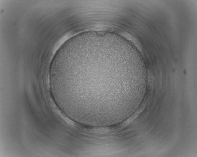 X0000070431083200606231912