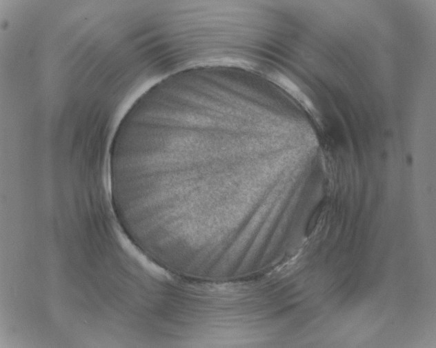 X0000070431084200606231912