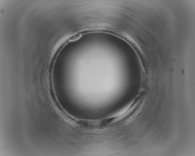 X0000070431085200606231912