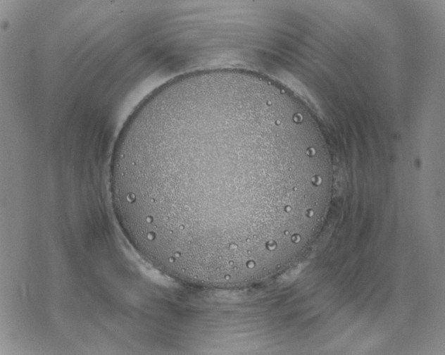 X0000070431086200606231912