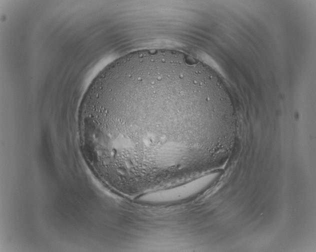 X0000070431087200606231912