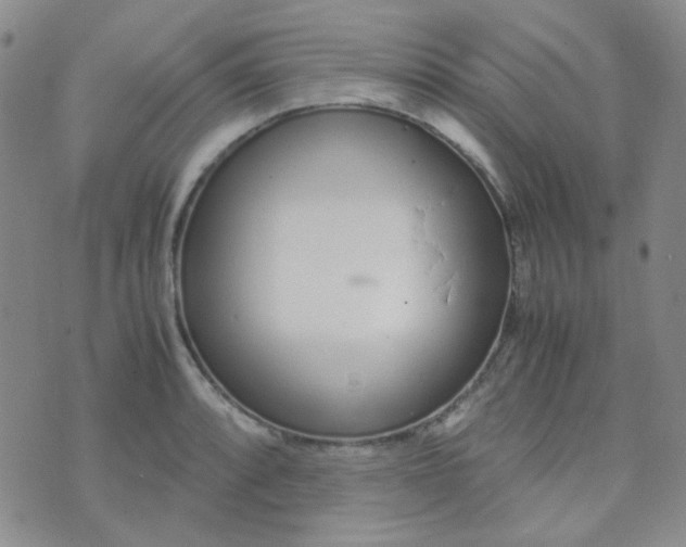 X0000070431088200606231912