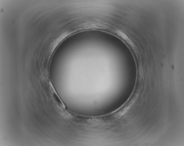 X0000070431089200606231912