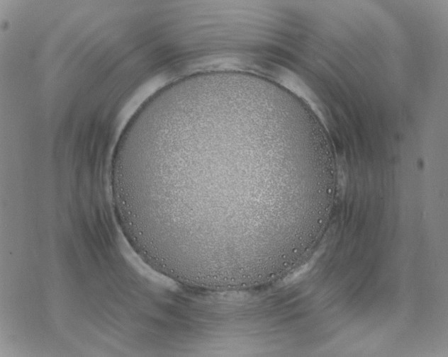 X0000070431090200606231912