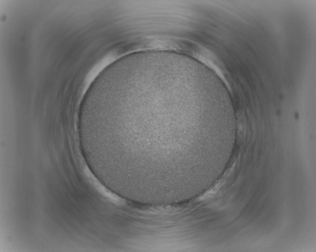 X0000070431091200606231912