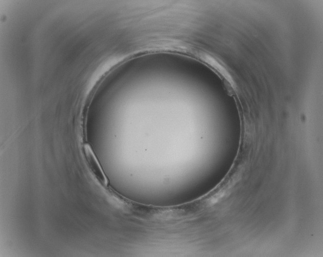 X0000070431093200606231912